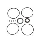 Sello Kit de Cigueñal