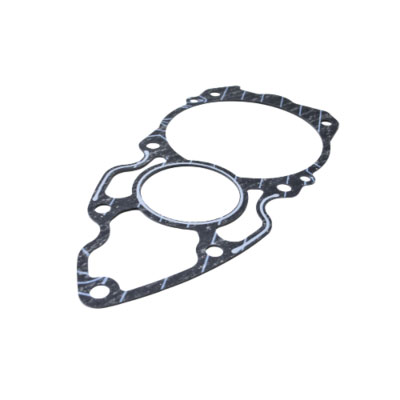 Empacadura de Bomba de Agua