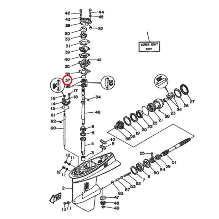 Oring de Bomba de Agua