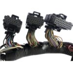 Arnes (Harness) de Motor EFI Mercury 150-200 HP EFI 2.5L - Imagen 2