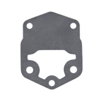 Empacadura de Bomba de Gasolina