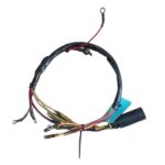 Harness Completo Mercury 100-125 HP.