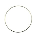 Laina de Transmisión