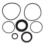 Kit de Sellos Cigeñal