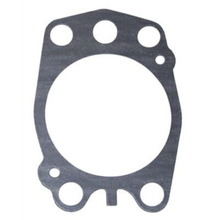 Empacadura de Bomba de Agua