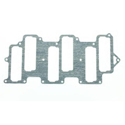 Empacadura de Manifold